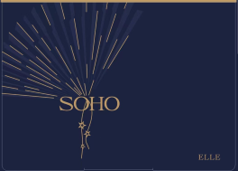 Комплект постільної білизни Soho Євро Elle 200х230 см Delicat Grey