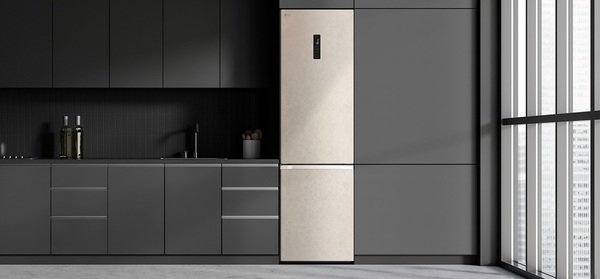 Холодильник LG GC-B509FEPW