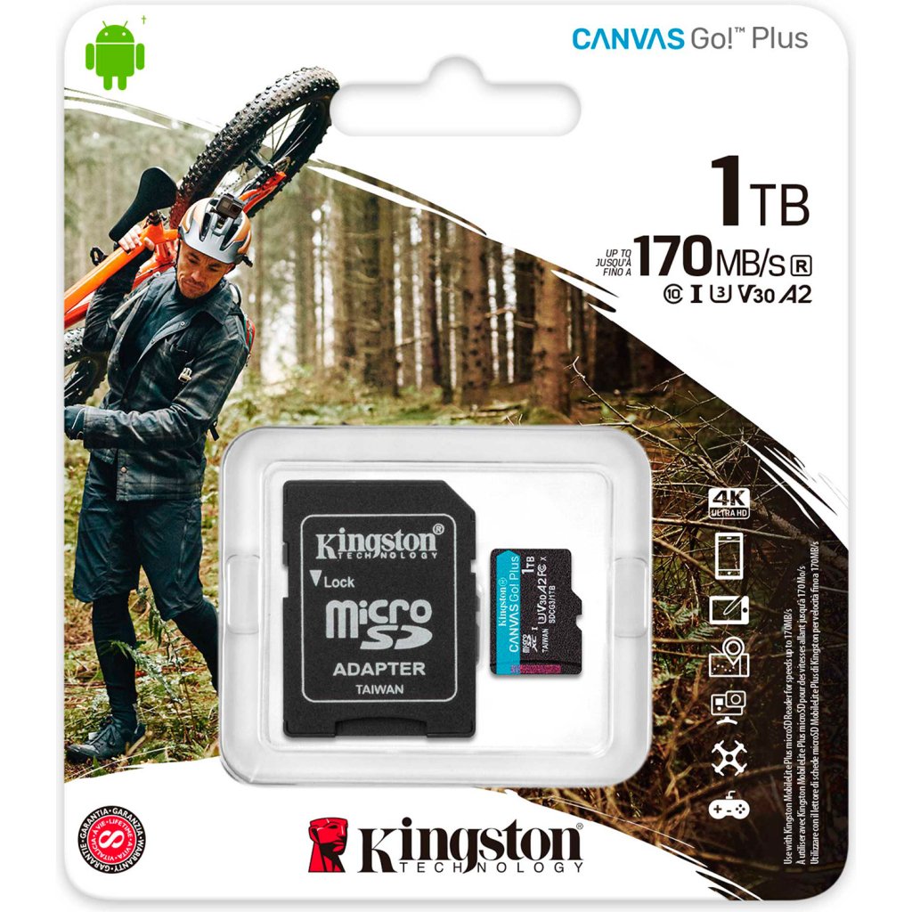 Карта пам’яті Kingston 1TB microSDXC сlass 10 UHS-I U3 V30 A2 Canvas Go Plus G4 (SDCG4/1TB)