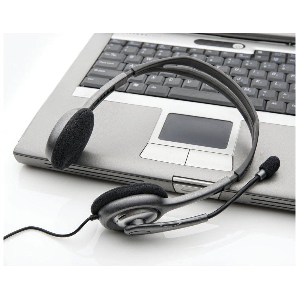 Гарнітура Logitech Stereo Headset H111