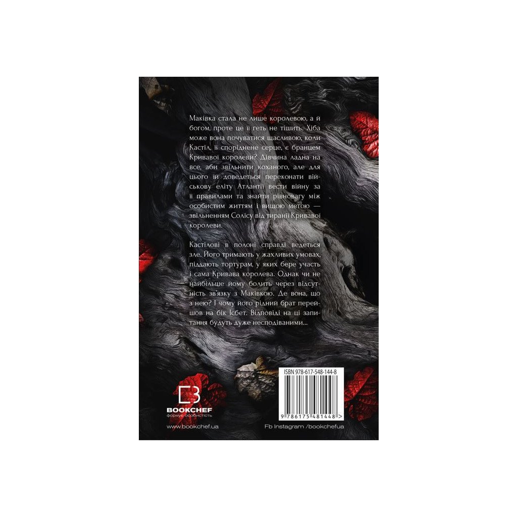 Книга Кров і попіл: Війна двох королев – Дженніфер Л. Арментраут BookChef (9786175481448)