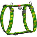 Шлея для собак WAUDOG Nylon з QR паспортом анатомічна H-подібна “Авокадо” M (5550)