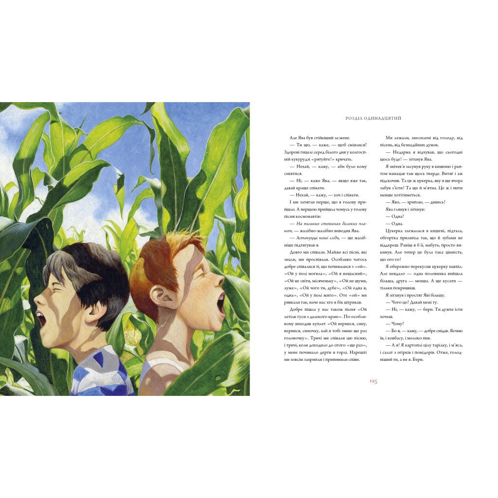 Книга Тореадори з Васюківки. Велике ілюстроване видання. Книга перша – Всеволод Нестайко А-ба-ба-га-ла-ма-га (9786175852484)