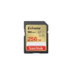 Карта пам’яті SanDisk 256GB SD class 10 UHS-I Extreme (SDSDXVV-256G-GNCIN)