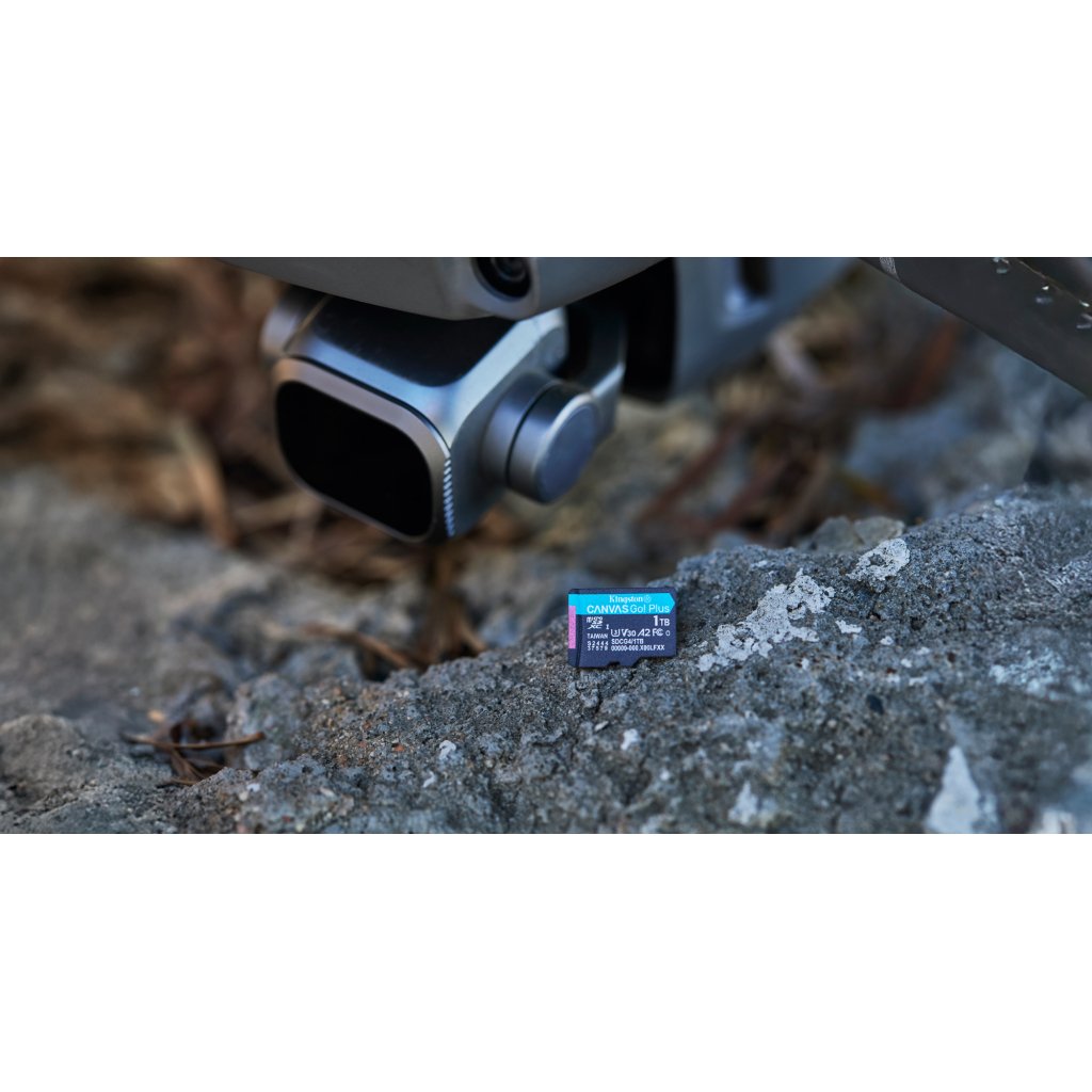Карта пам’яті Kingston 64GB microSDXC сlass 10 UHS-I U3 V30 A2 Canvas Go Plus G4 (SDCG4/64GBSP)