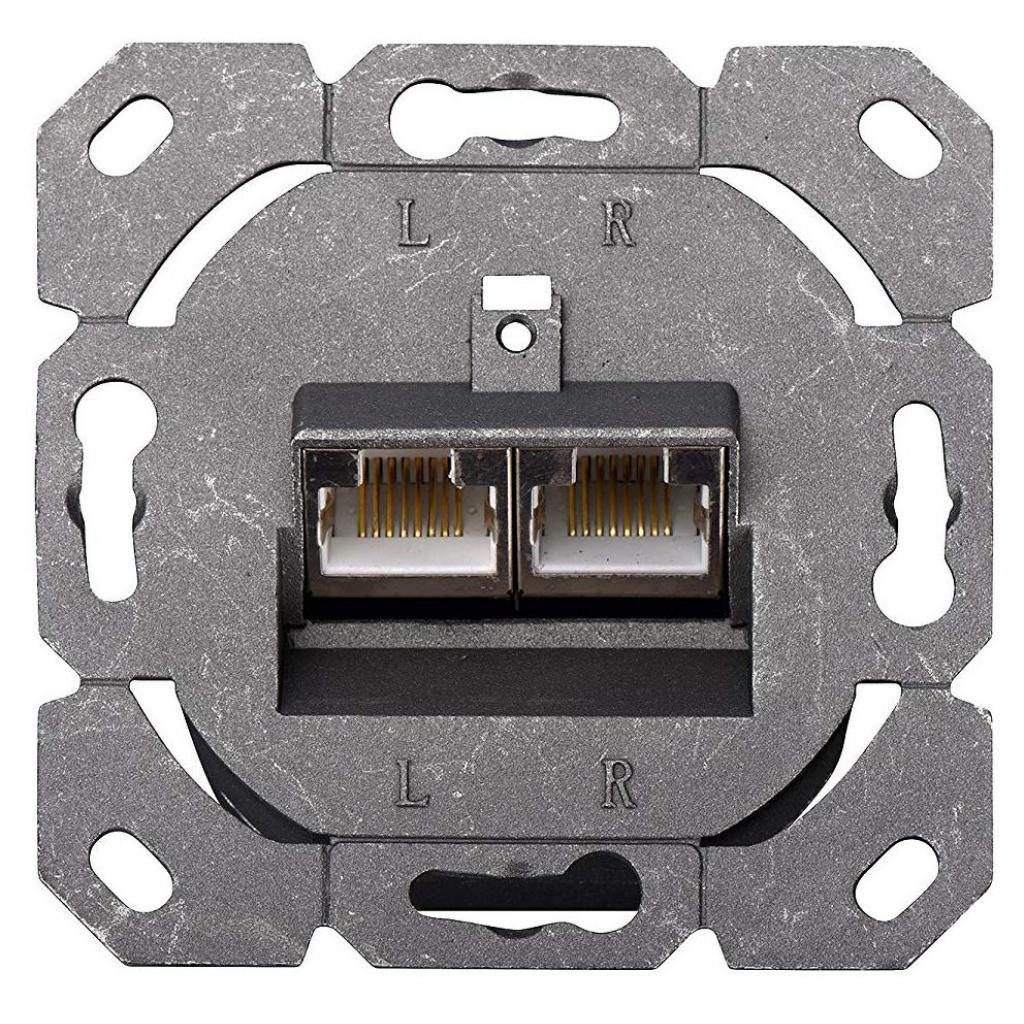 Комп’ютерна розетка Digitus 2xRJ45 STP, cat. 6, для відкритої проводки (DN-9006-N)