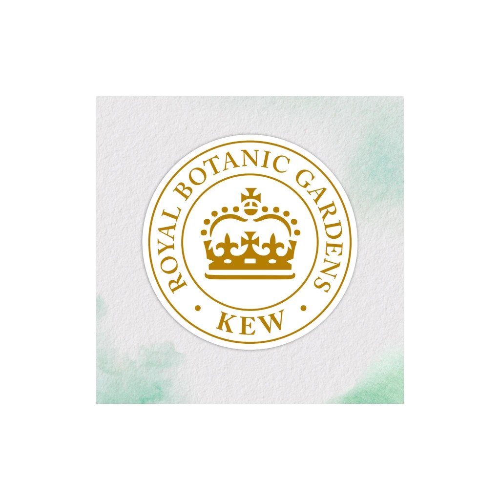 Кондиціонер для волосся Herbal Essences Апельсин Для об’єму волосся 250 мл (8700216210317)